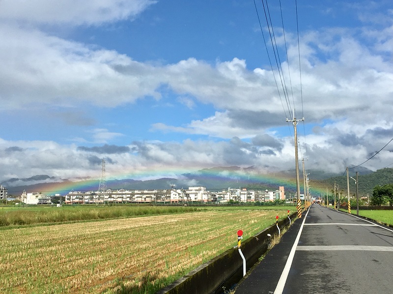 民宿外道路/rice paddies