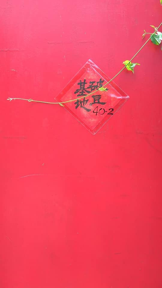 Pho3 Tau7-15
