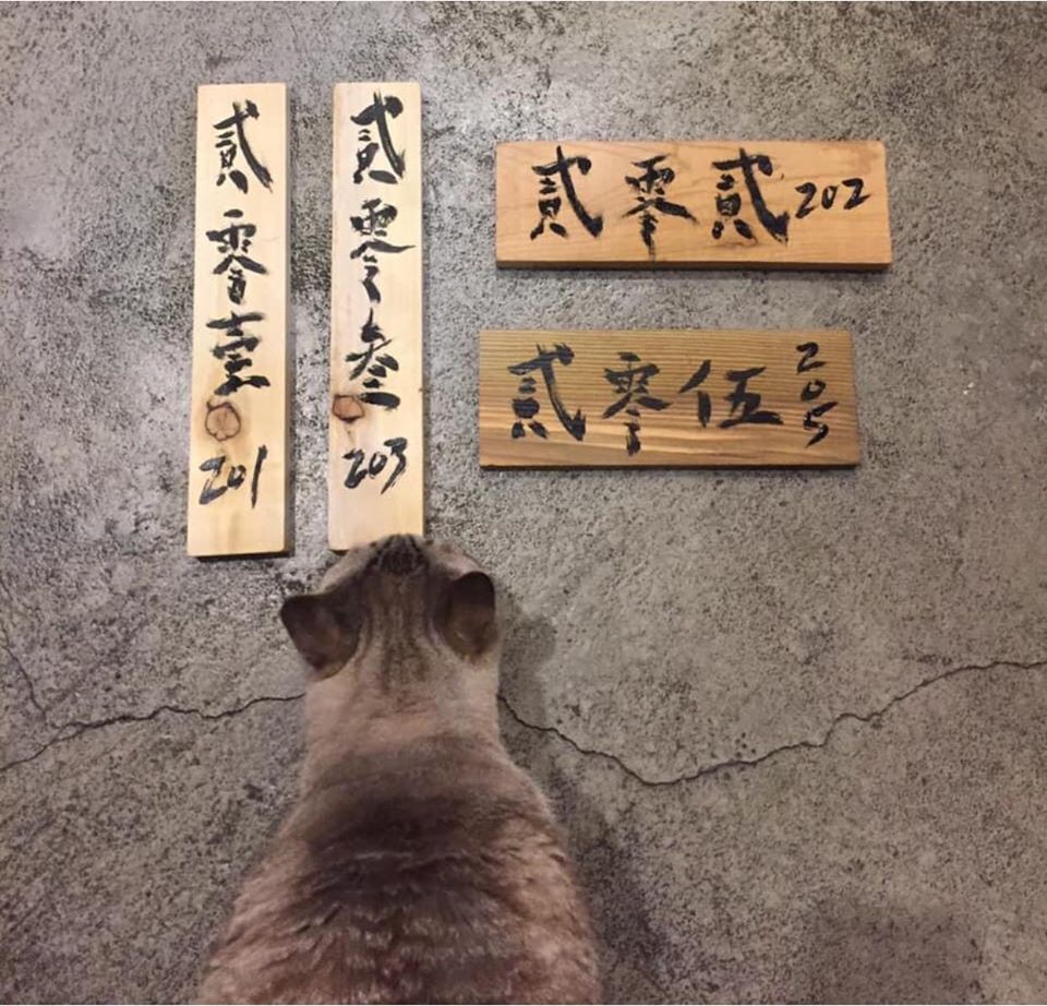 晃晃46図書適民宿-13
