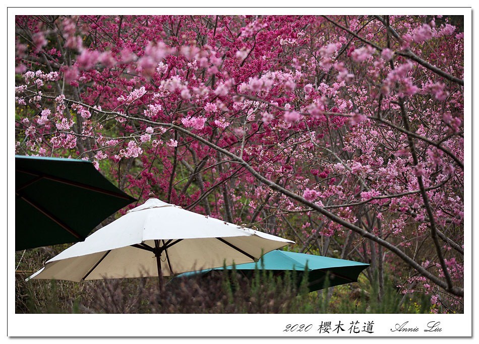 二馬山莊-23