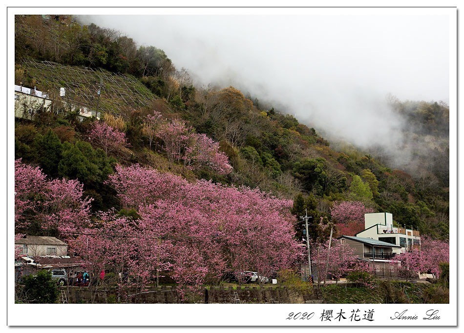 二馬山莊-13