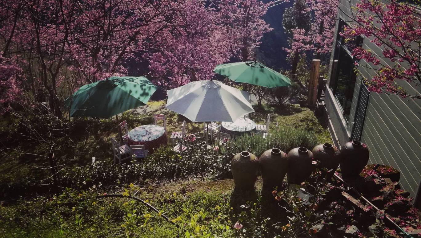 二馬山莊-11