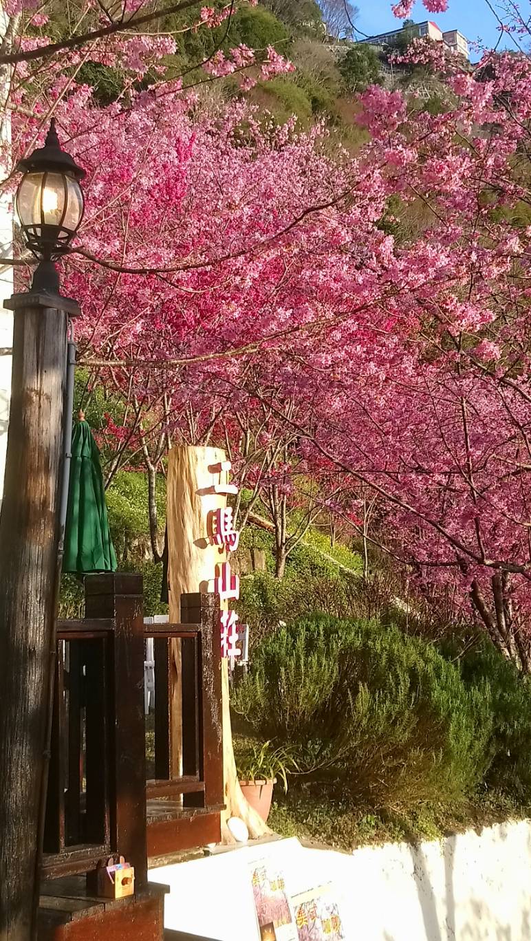 二馬山莊-9