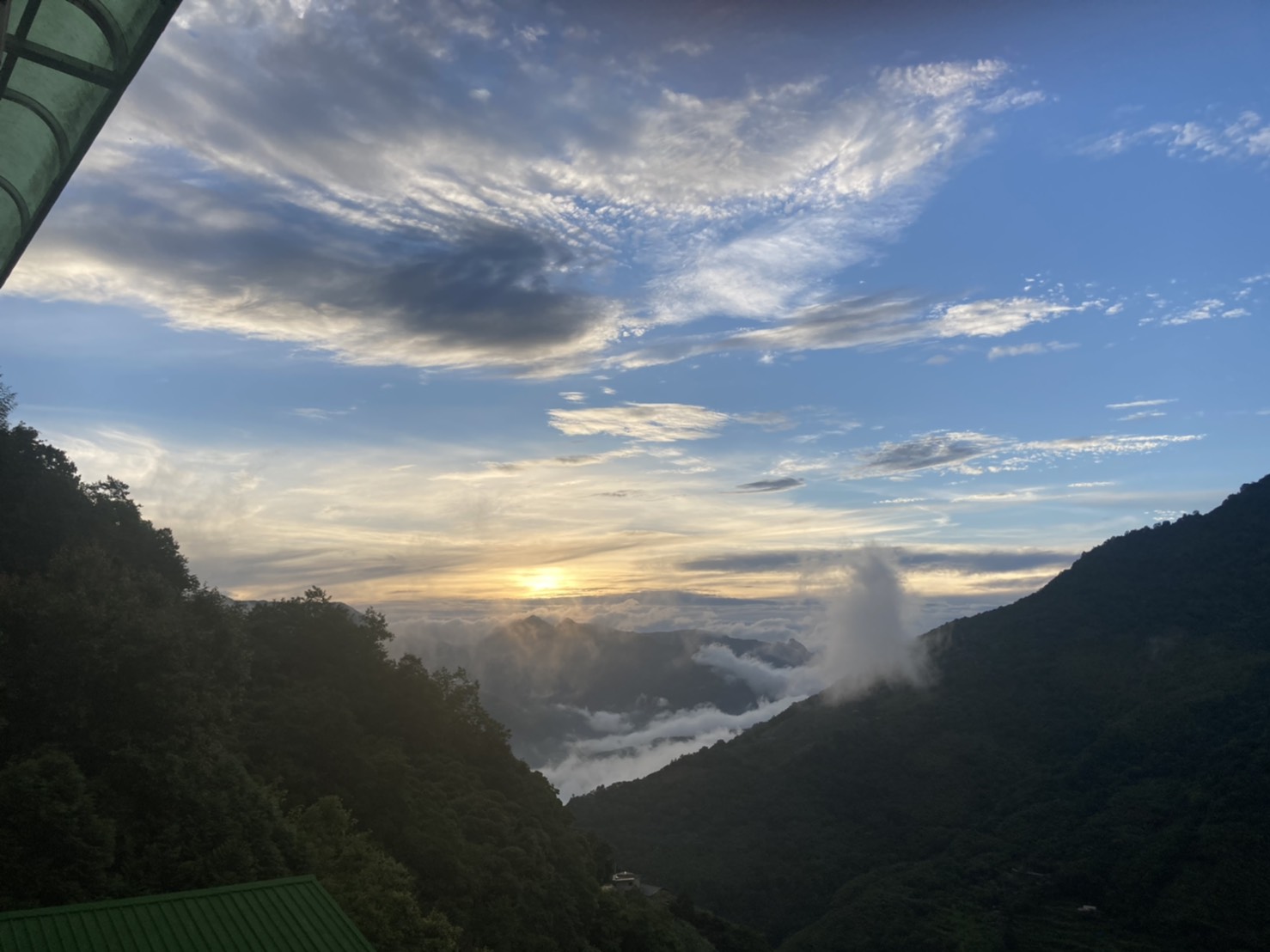 山豬的窩-1