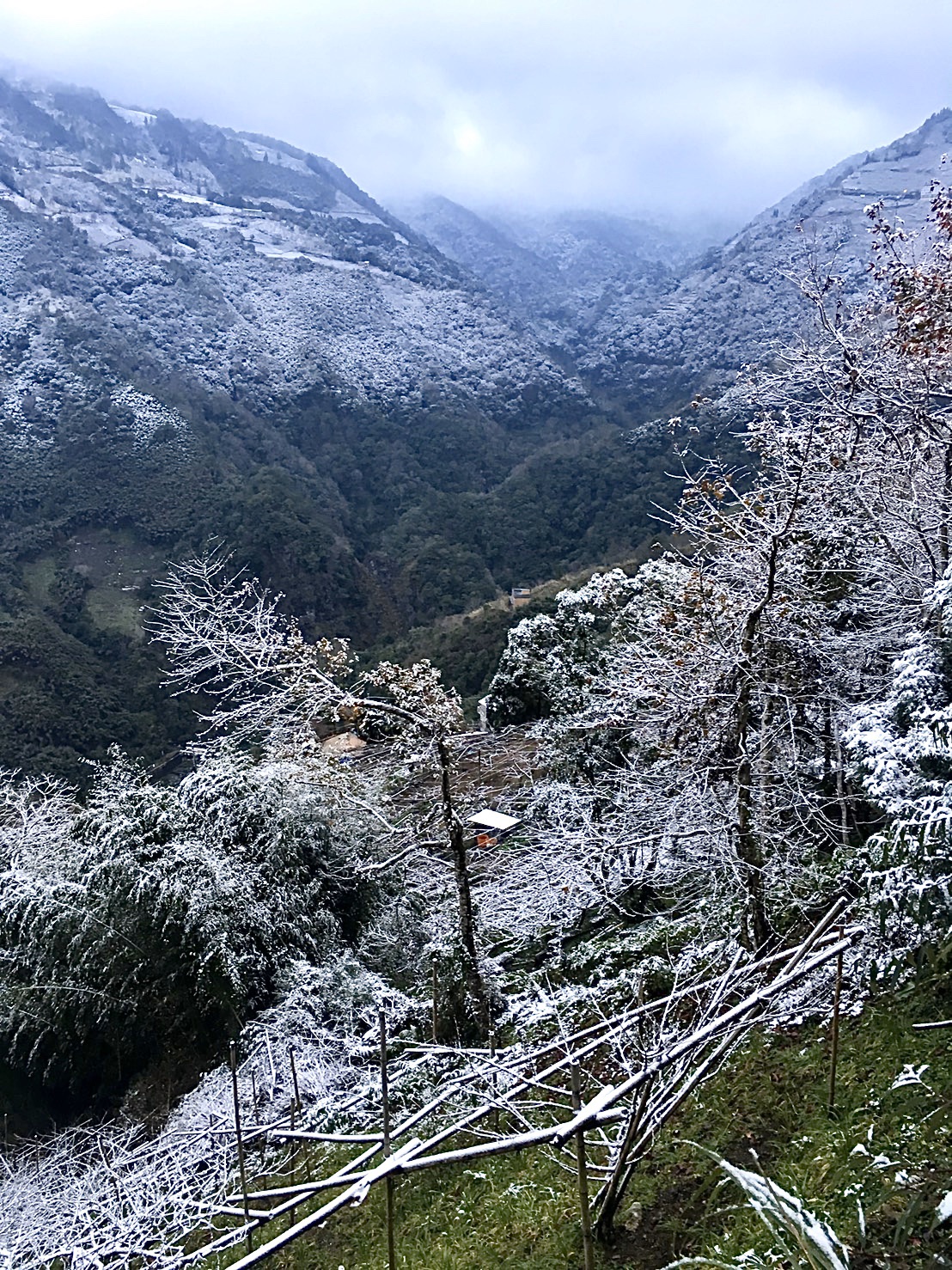 峻林渡假農場-1