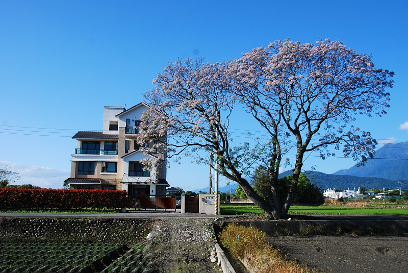 稻香緣民宿-3