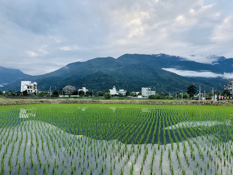 稻香緣民宿-5