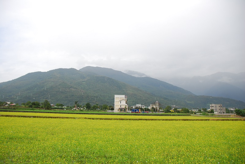稻香緣民宿-8