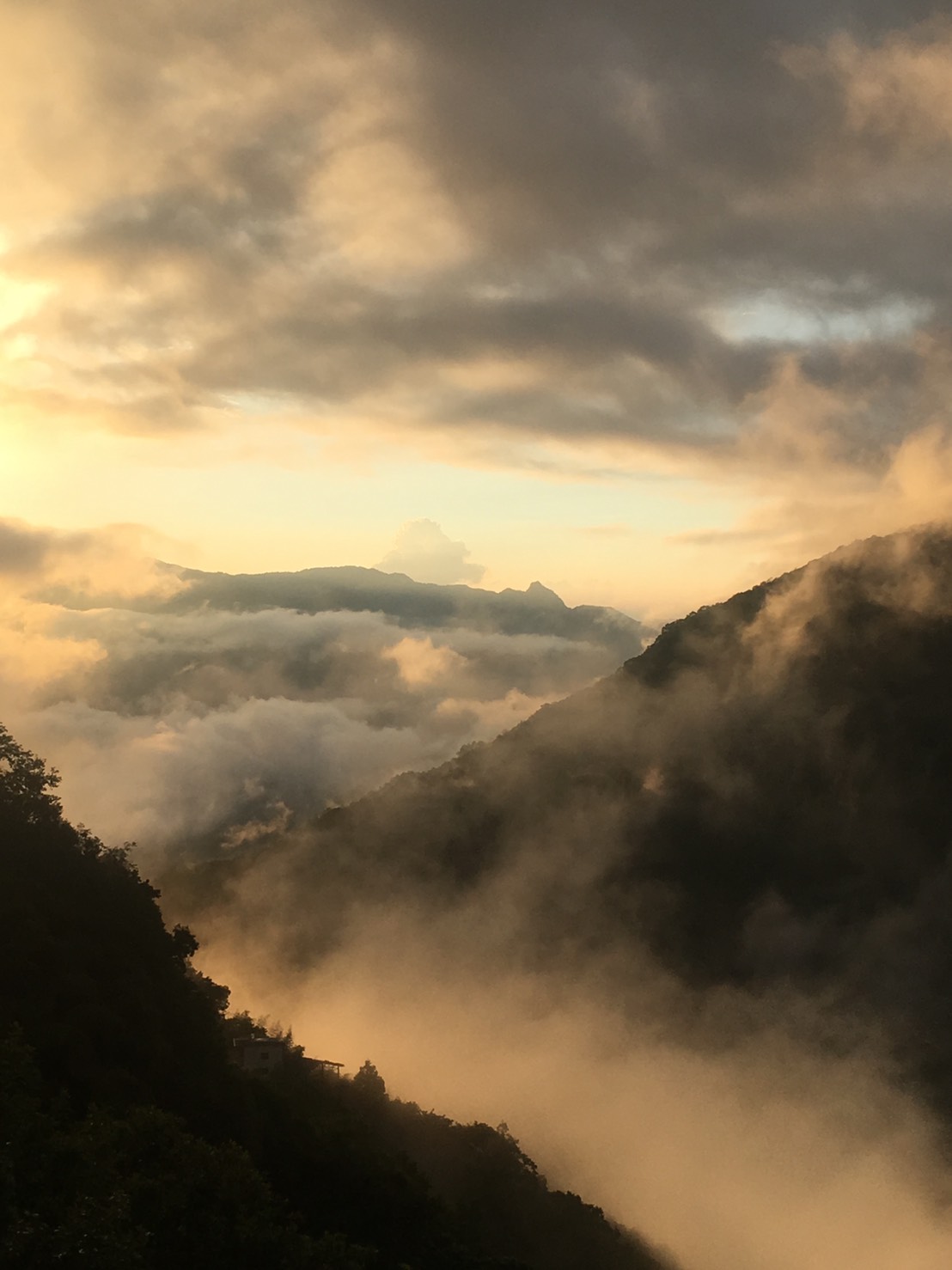 山豬的窩-4