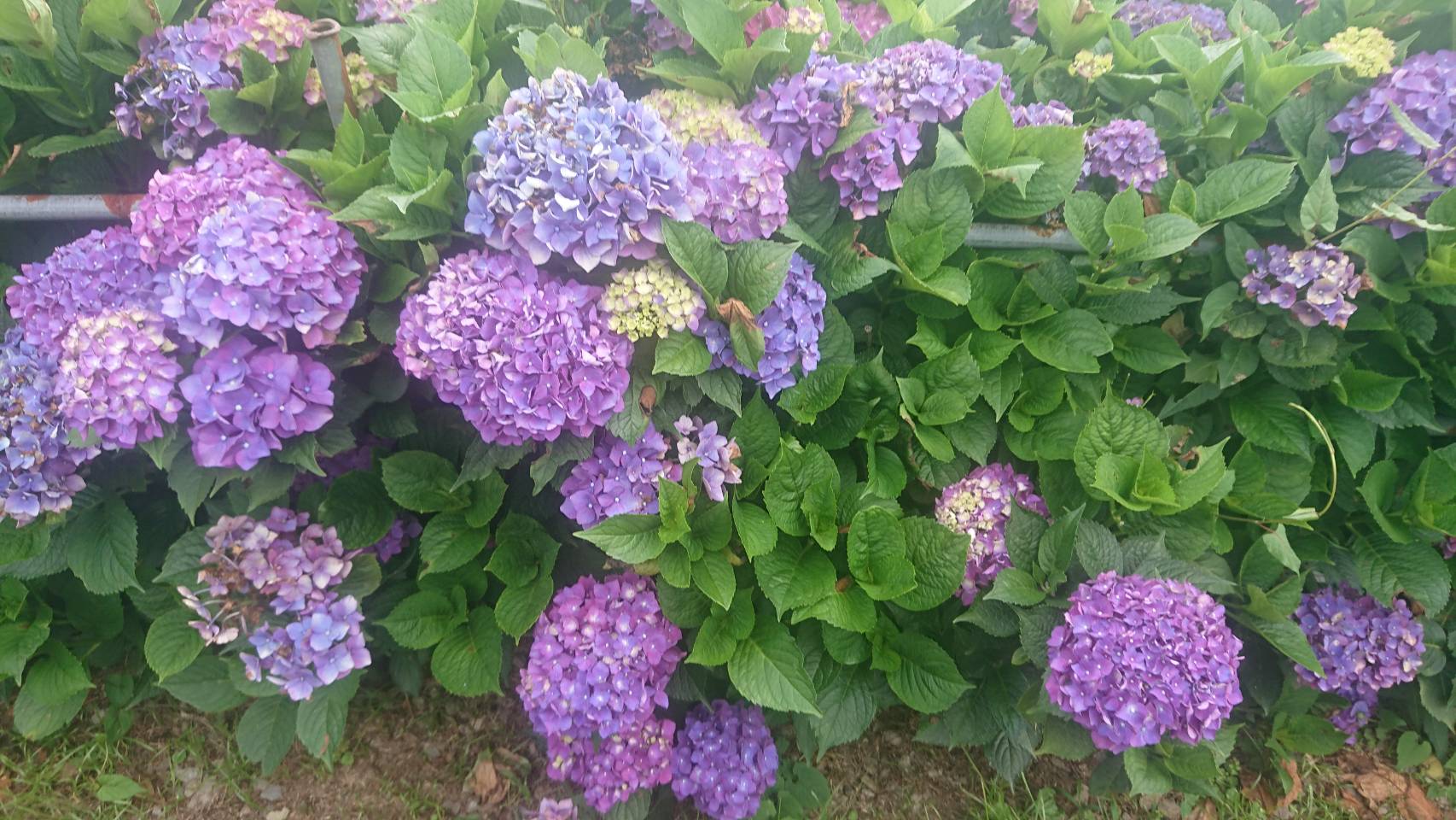 俠雲山莊-6