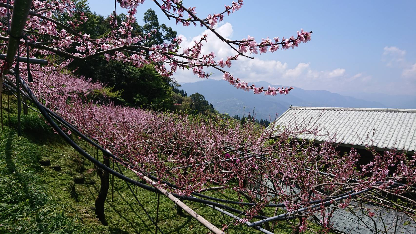 俠雲山莊-4