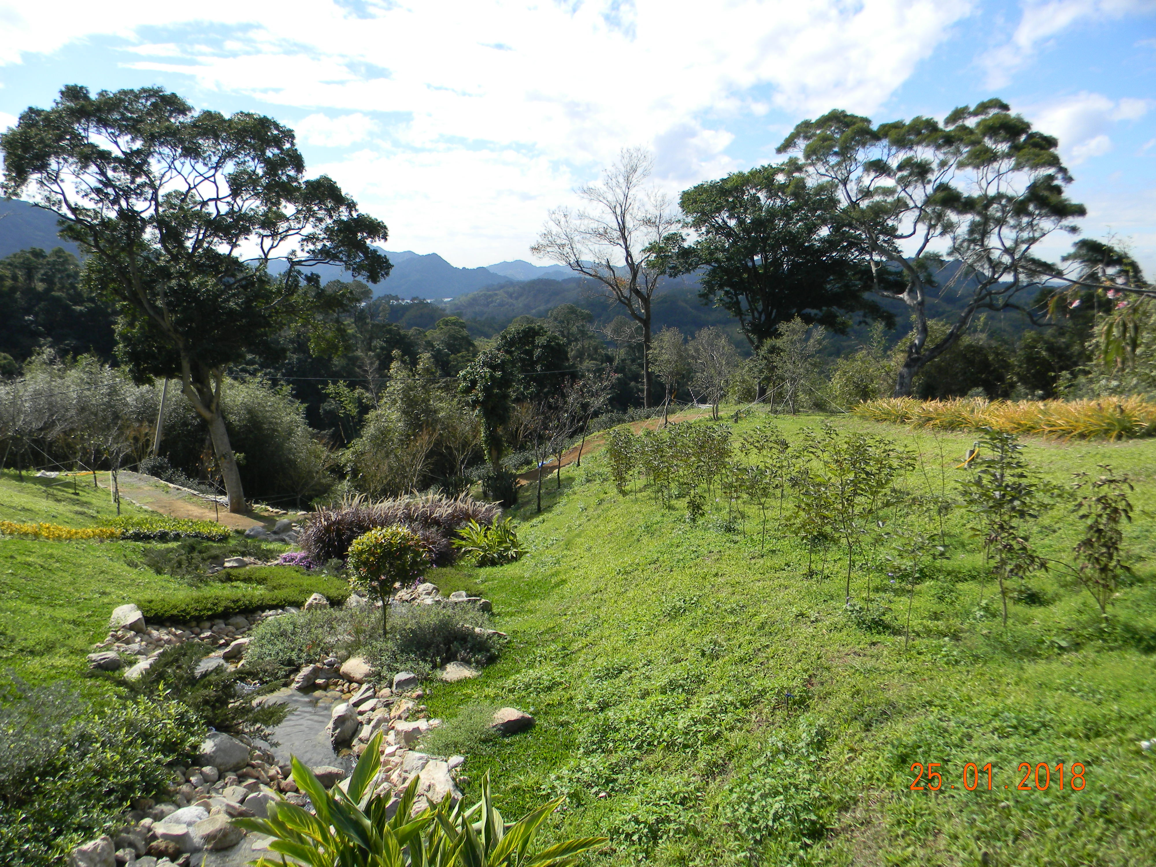 山水奇異民宿的庭園造景