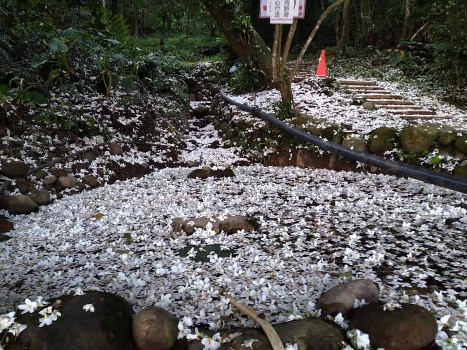逸雲莊-35
