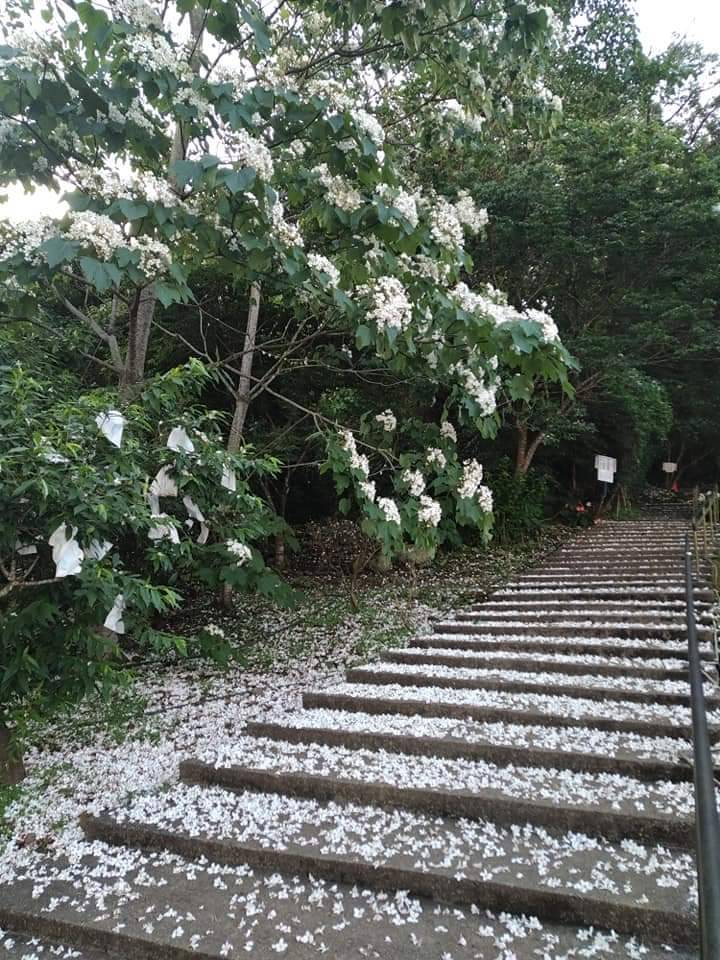 逸雲莊-34