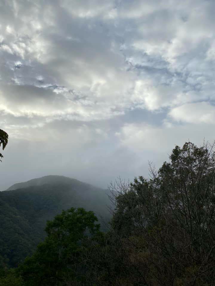 水蜜桃渡假莊園-12