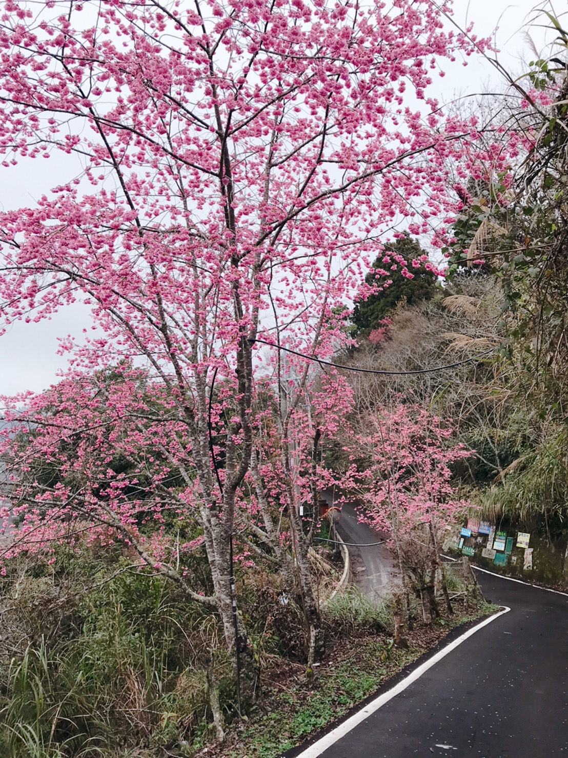 梵雲小棧-14