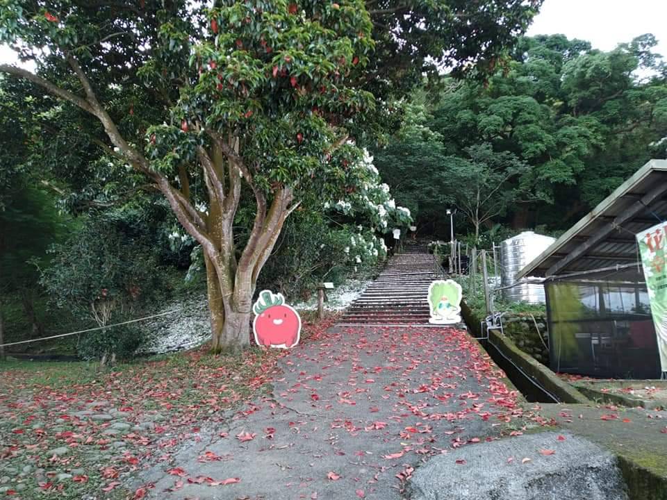 逸雲莊-20