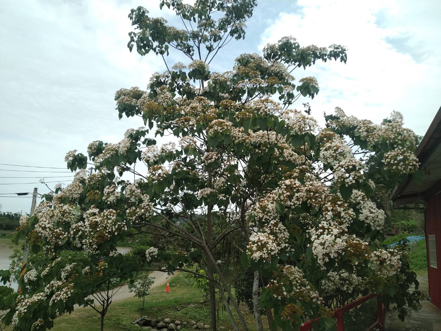 逸雲莊-15