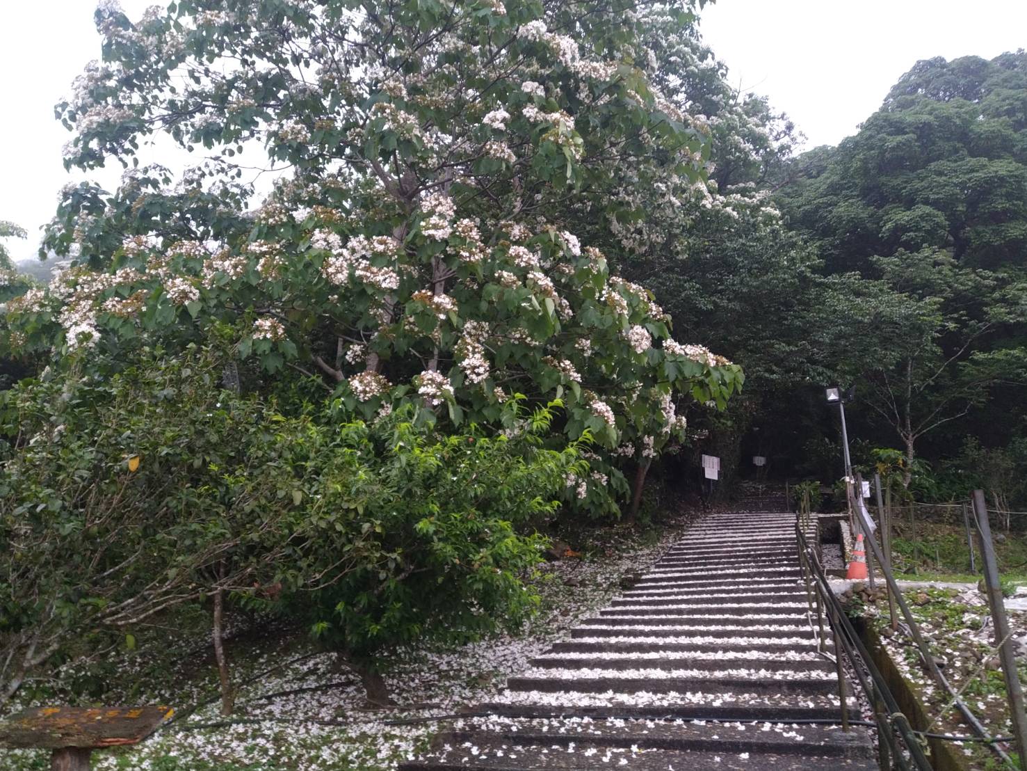 逸雲莊-16