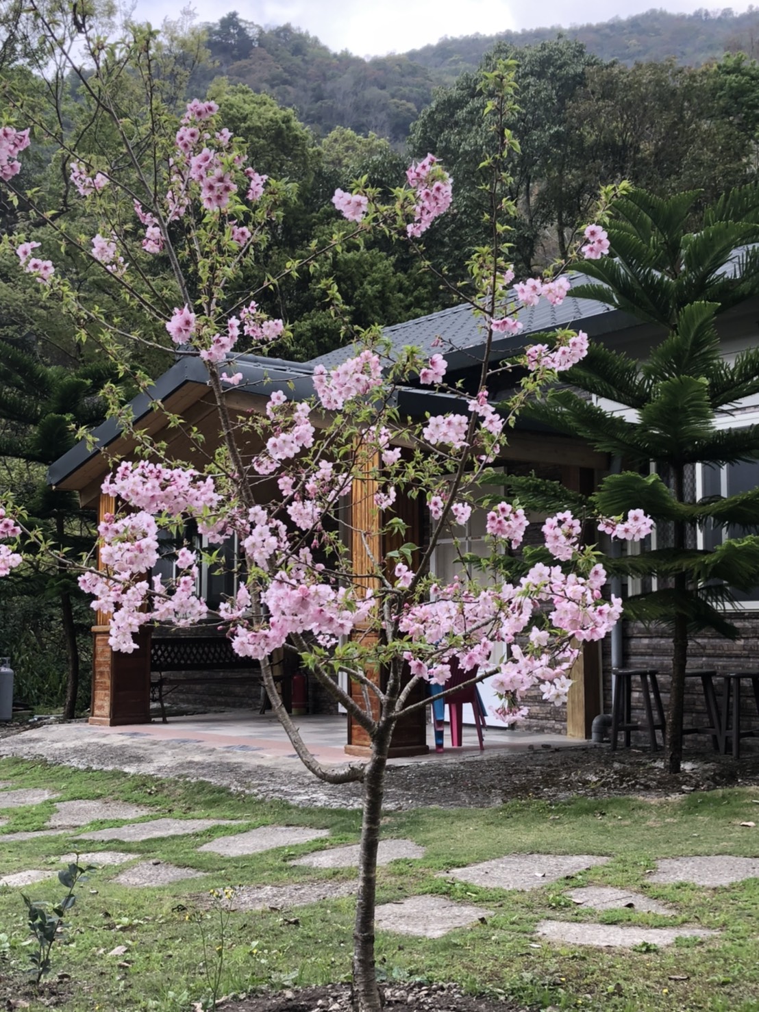 溪景生態農莊-22