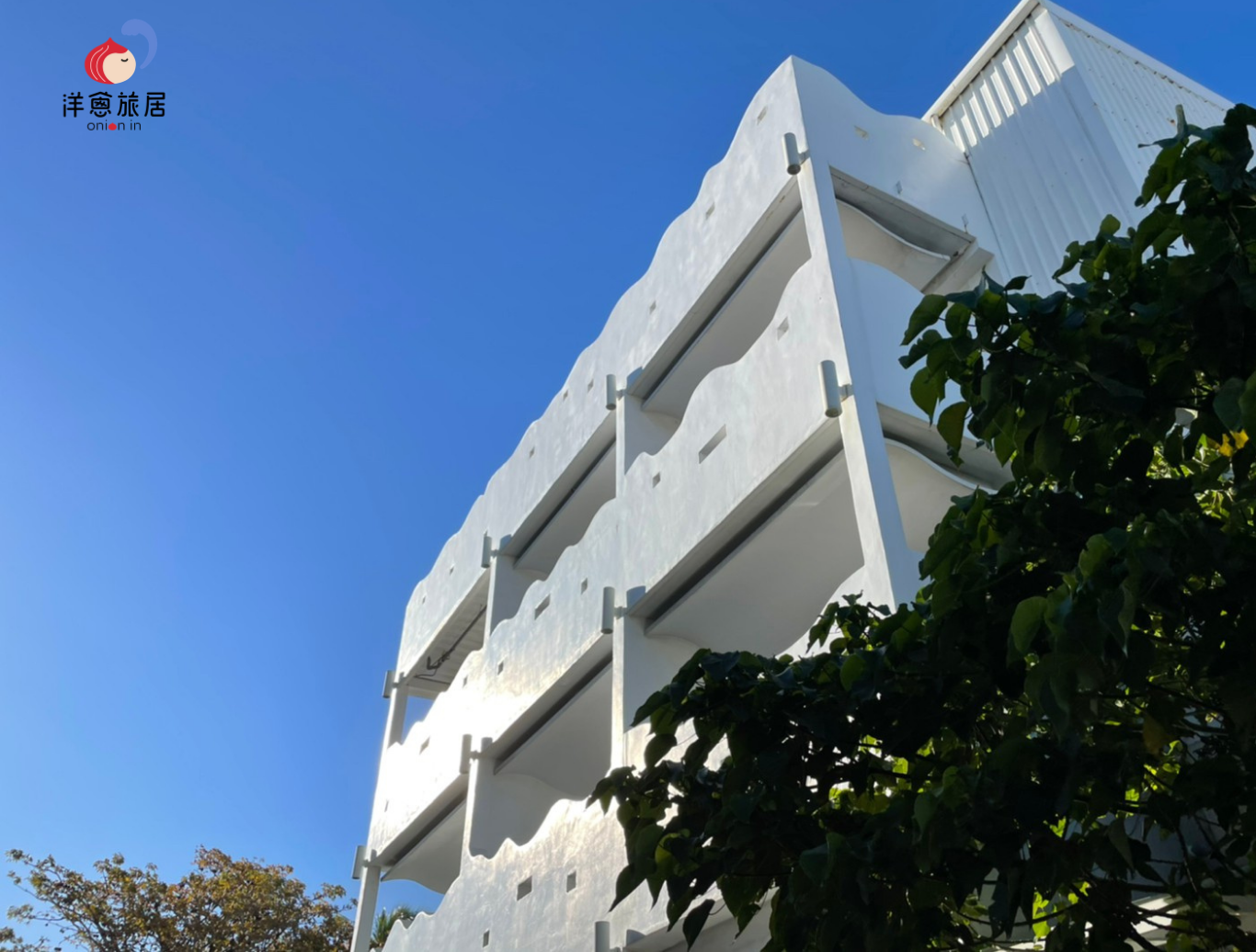 洋蔥生活旅居onion in民宿-8