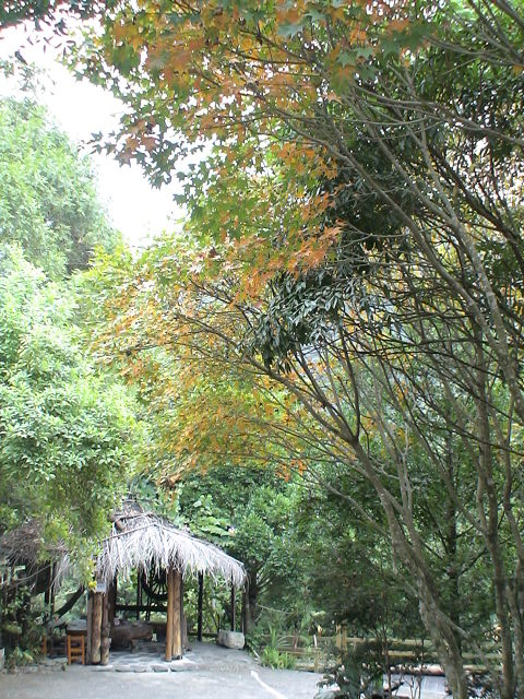 紅瓦厝山居民宿-2