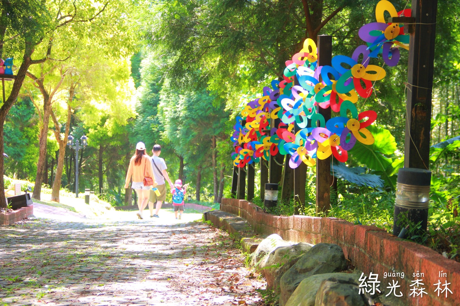綠光森林-25