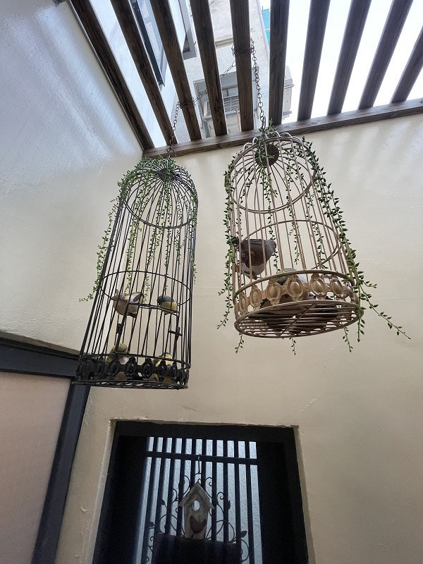 日安蝸牛-4