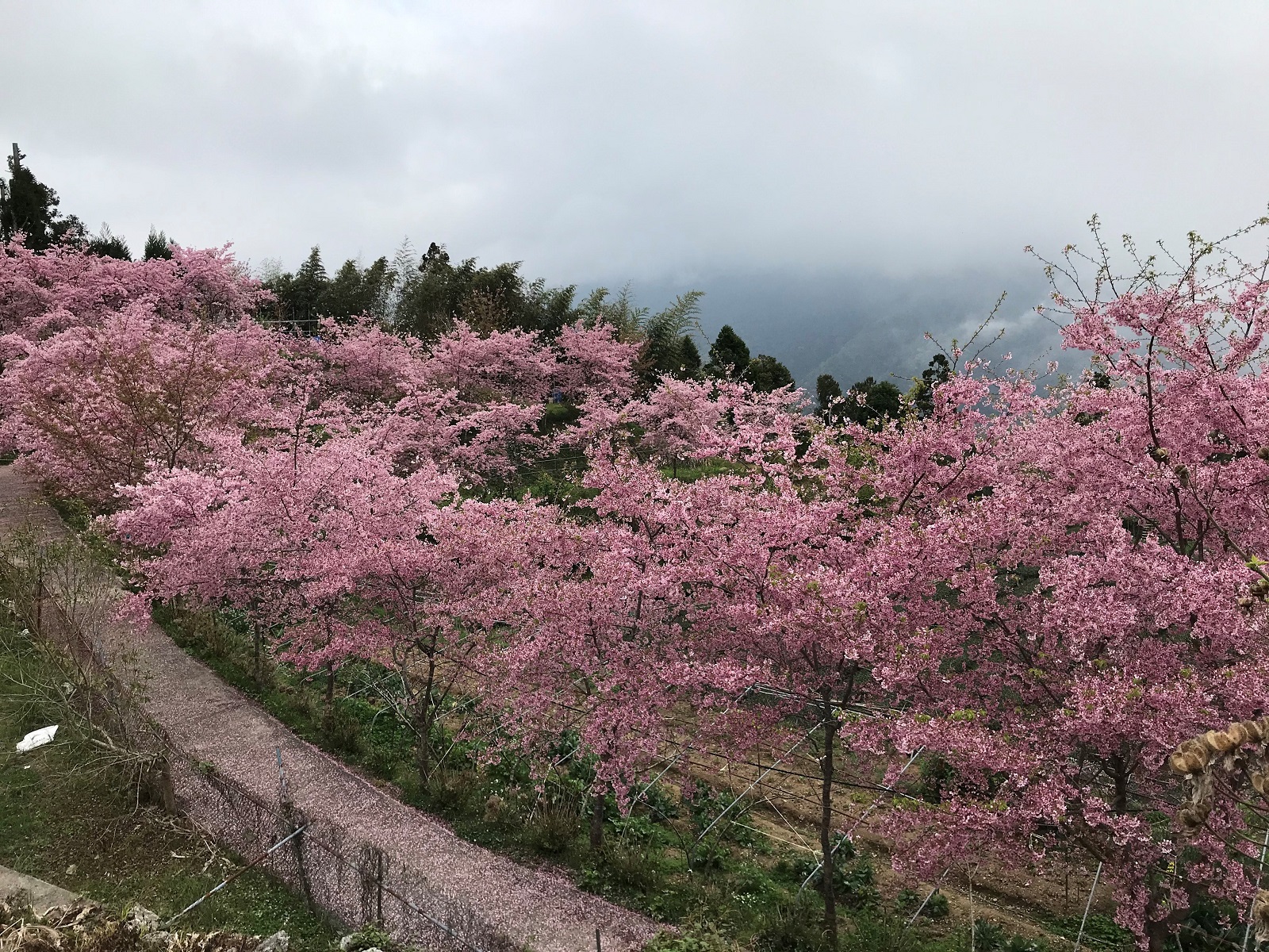 梵雲小棧-7