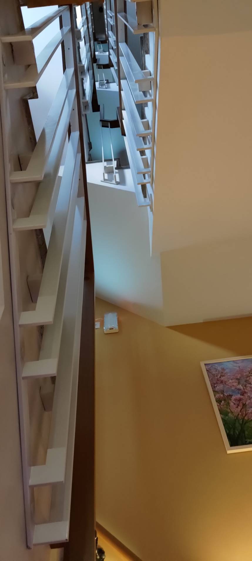 傅居52-24