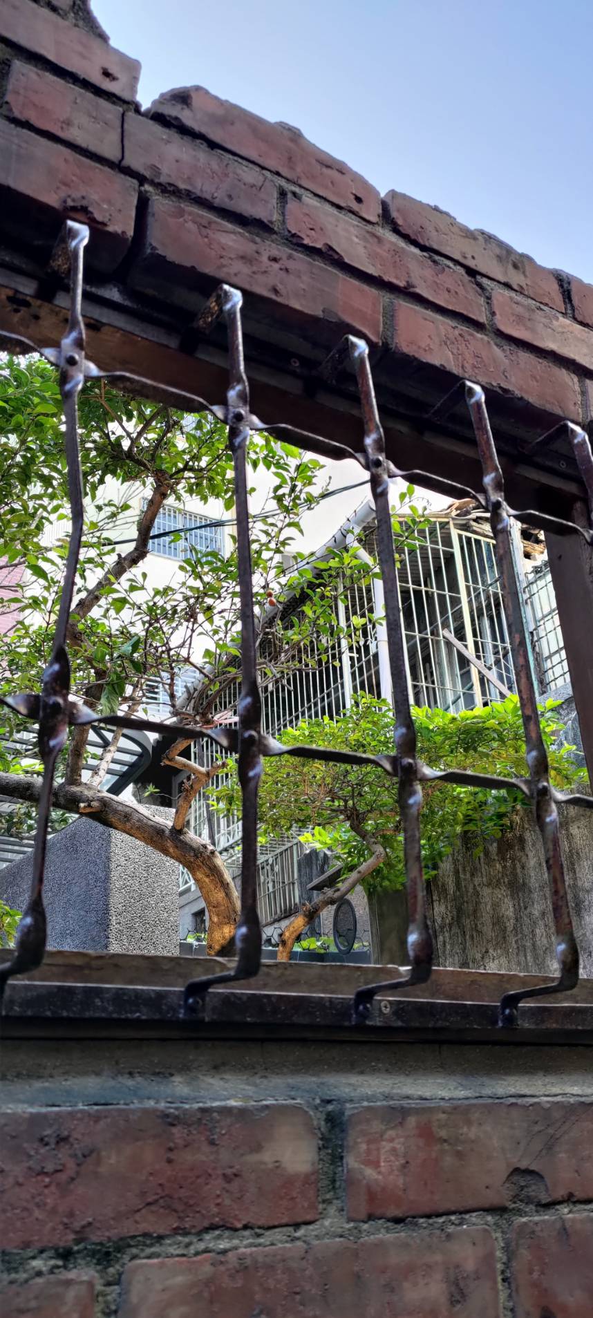 傅居52-8