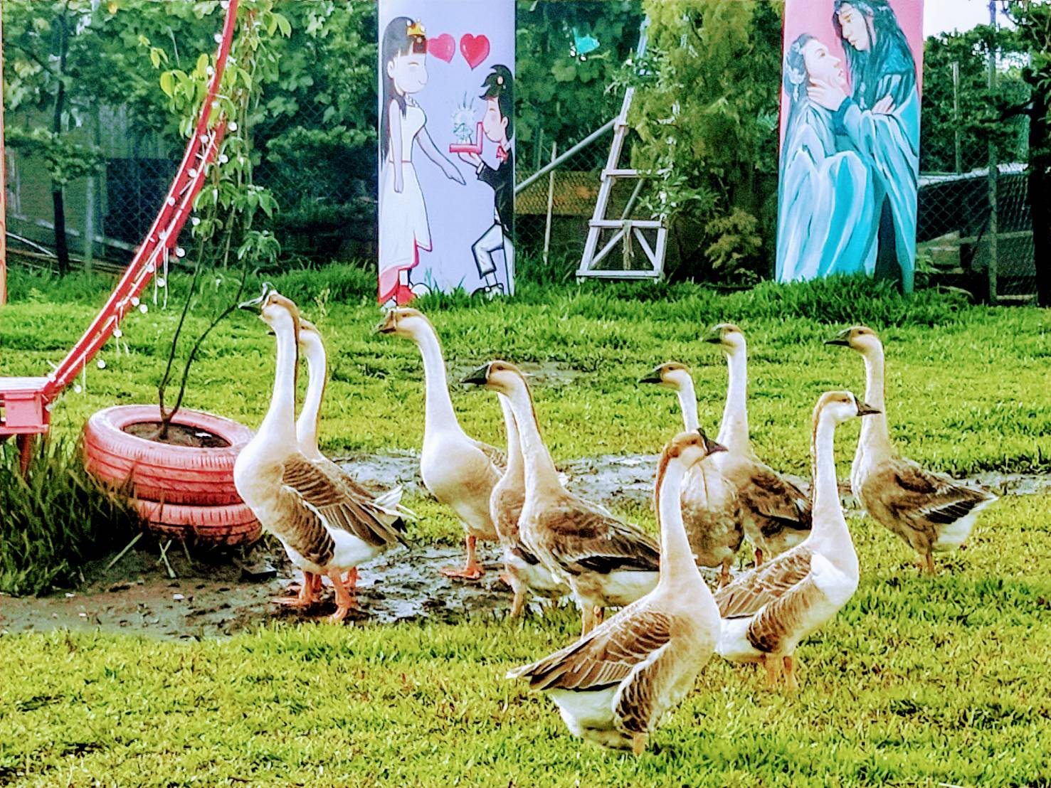 Xinyuanbao Shangshi Homestay13