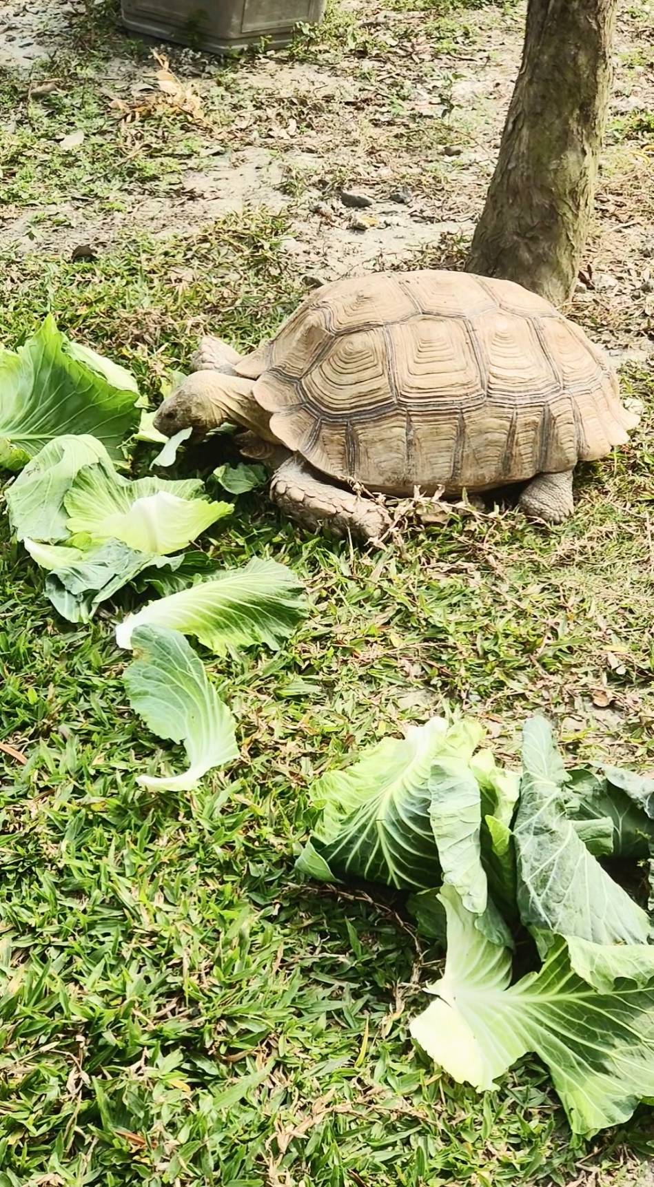 Xinyuanbao Shangshi Homestay7