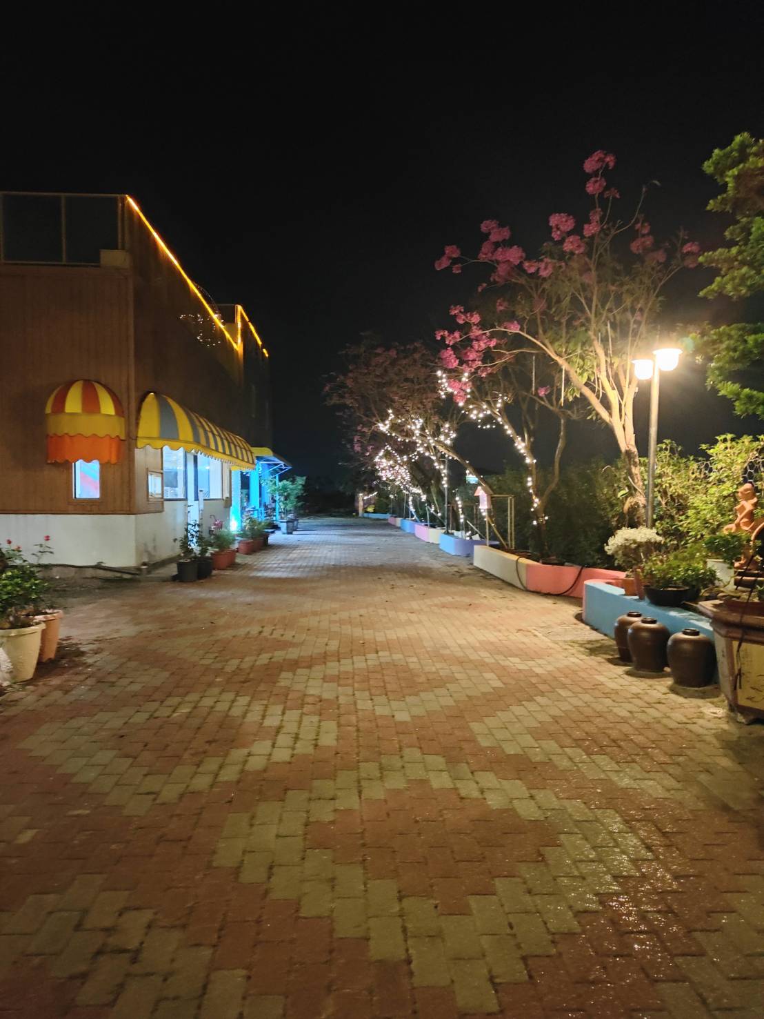 Xinyuanbao Shangshi Homestay4