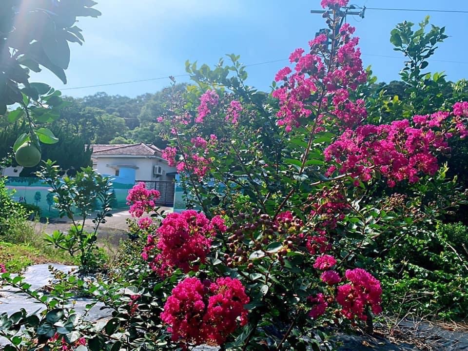 林口維多利亞民宿-8