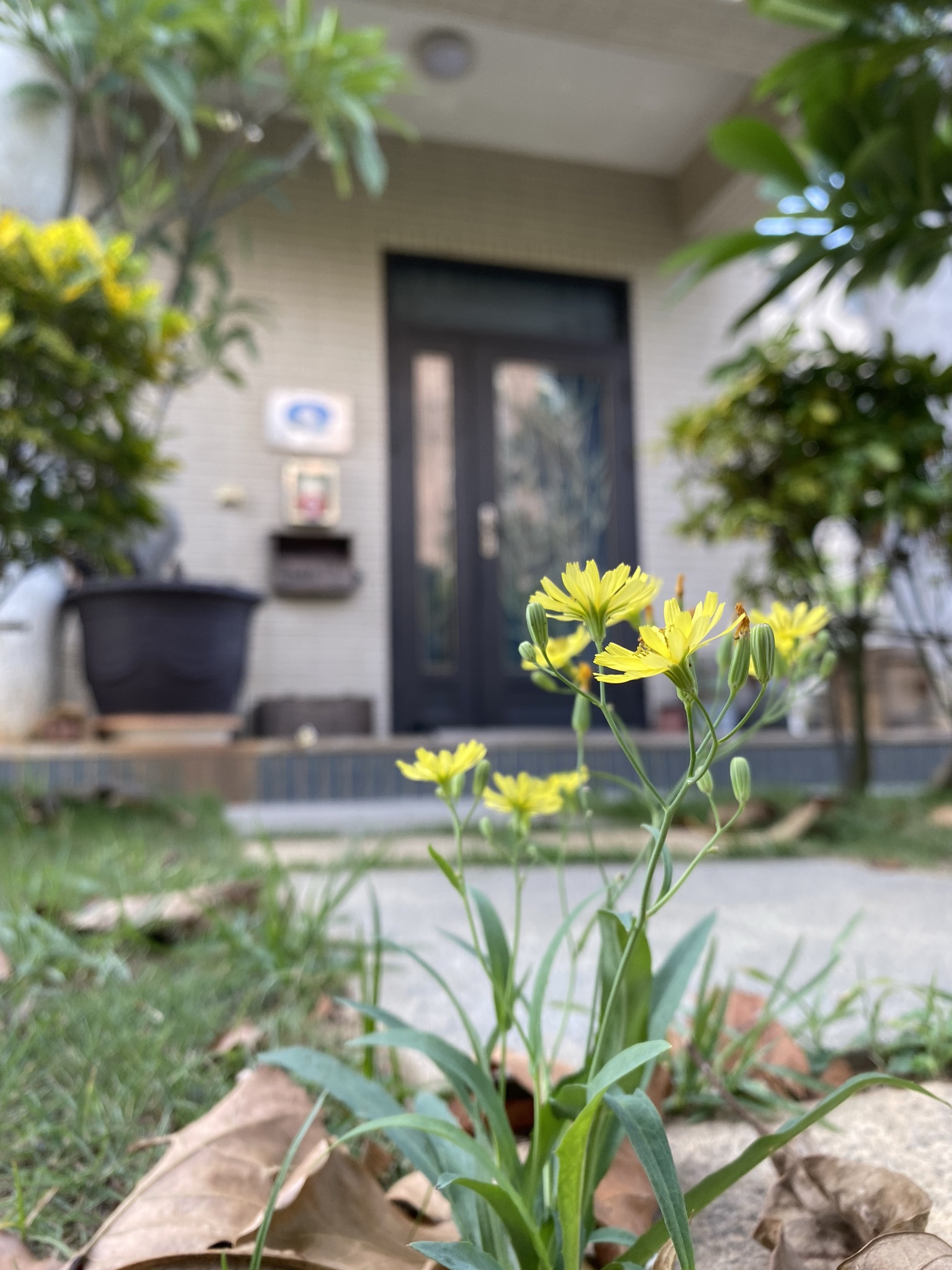 金門自由行民宿3