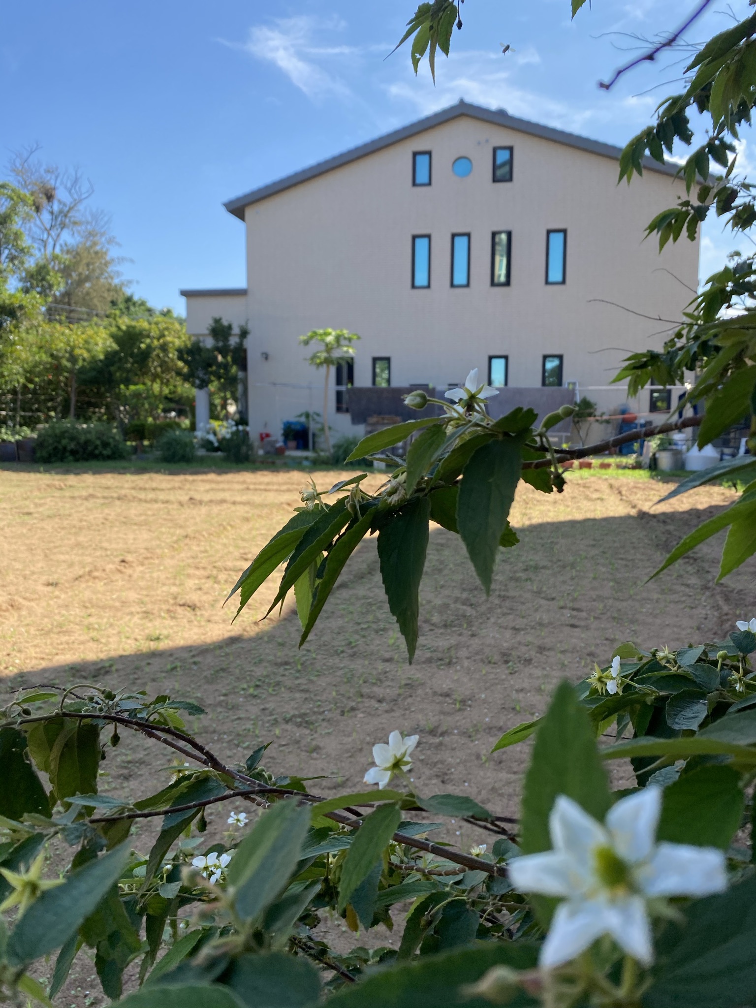 金門自由行民宿2