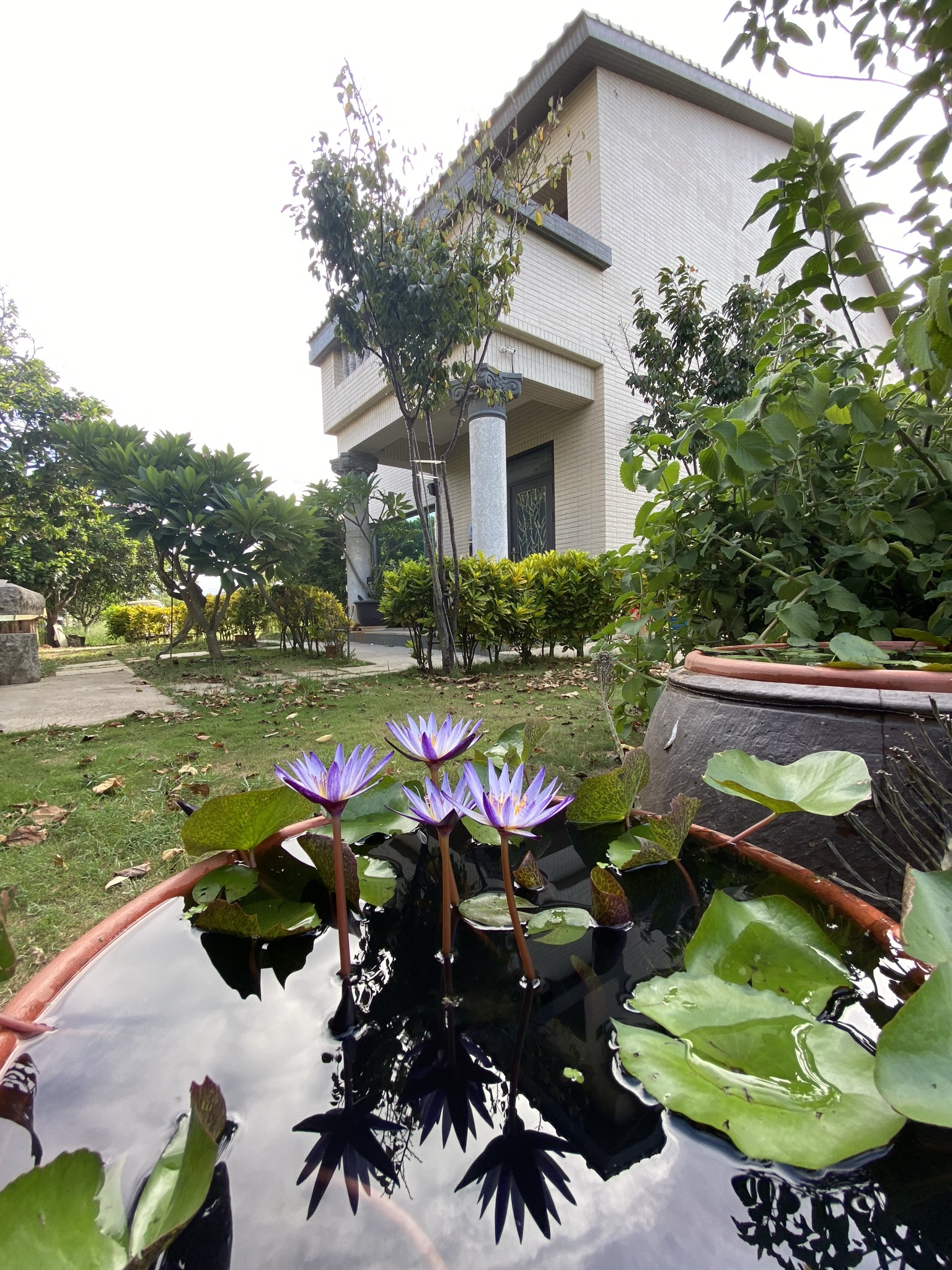 金門自由行民宿1