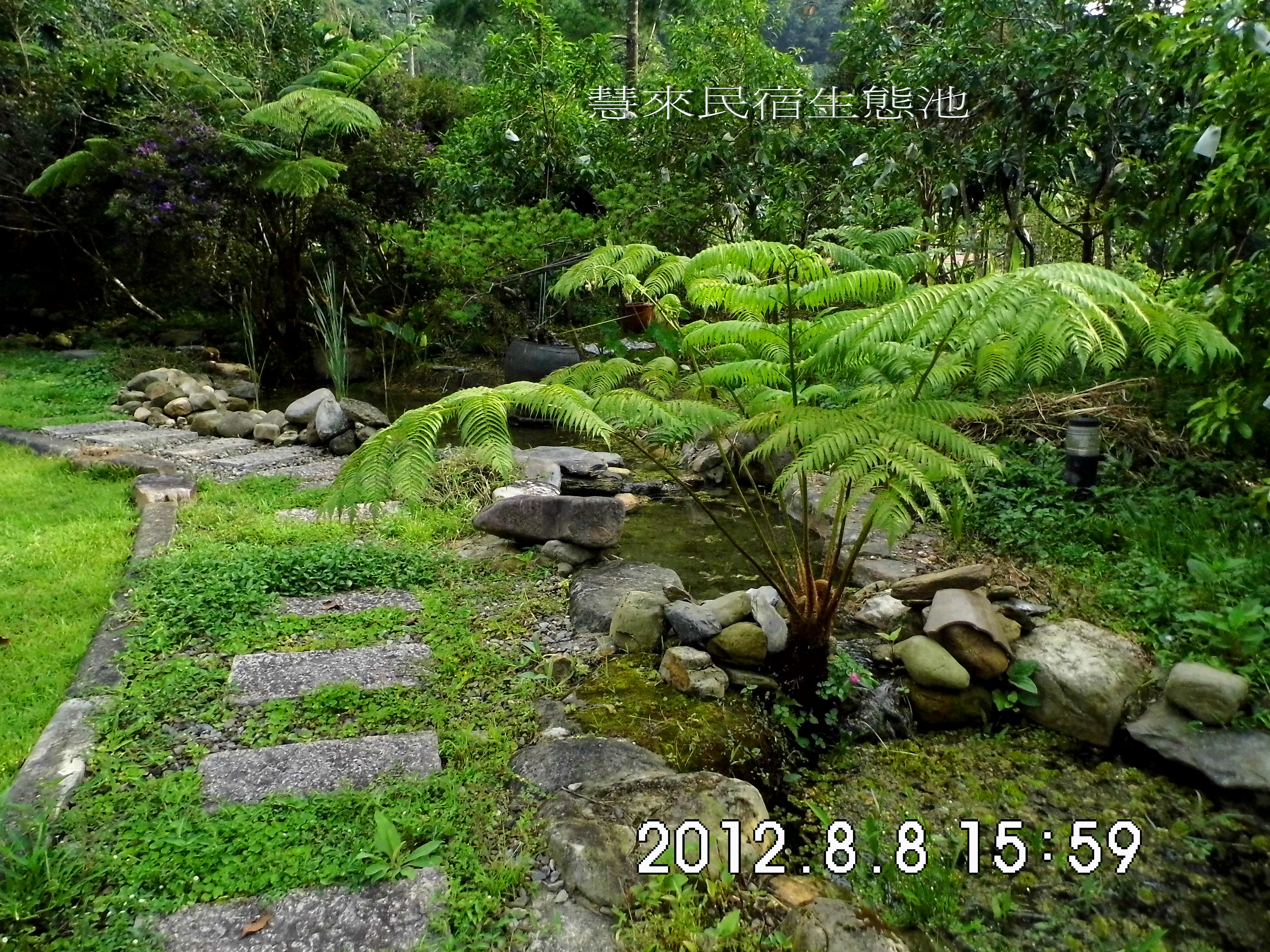 慧來農莊民宿-2