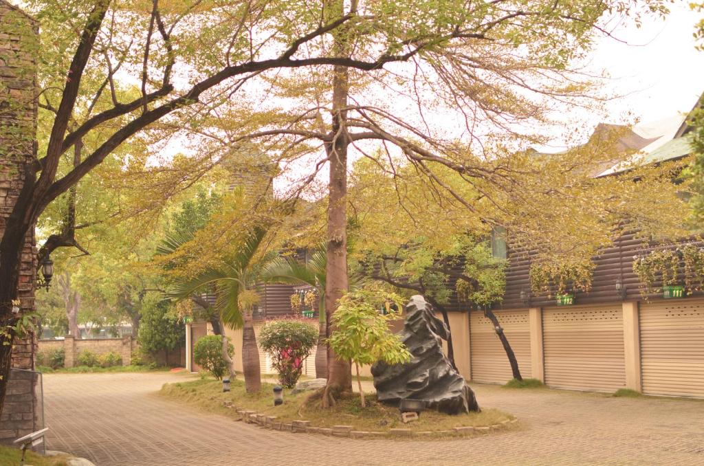 常春藤汽車旅館-2