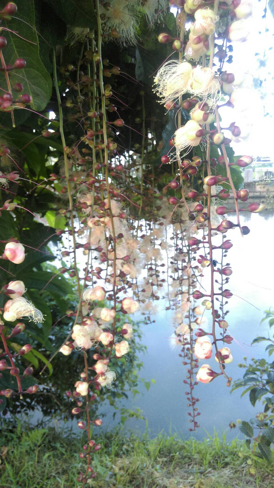 幸福蝸牛-6