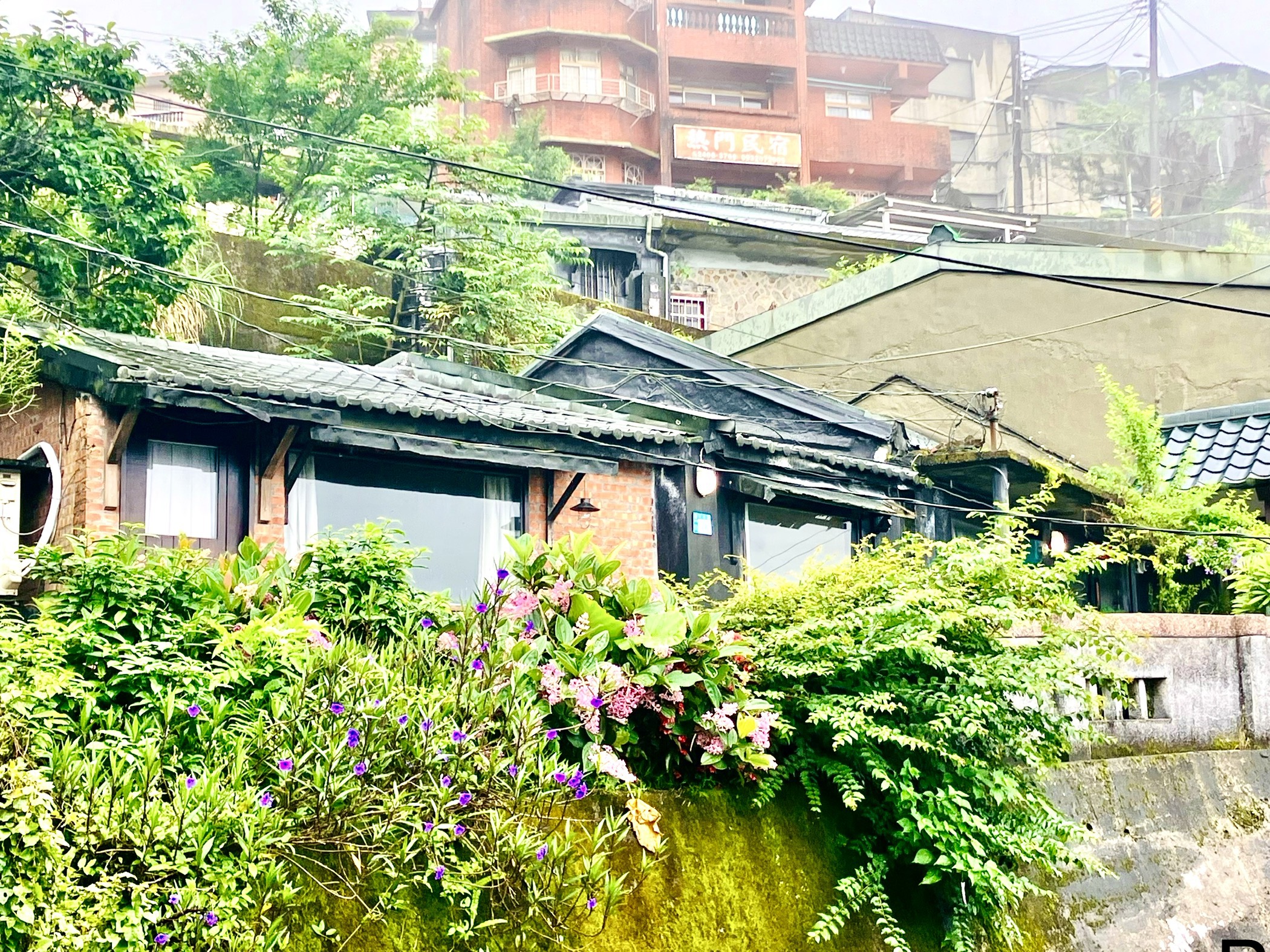 九居民宿3
