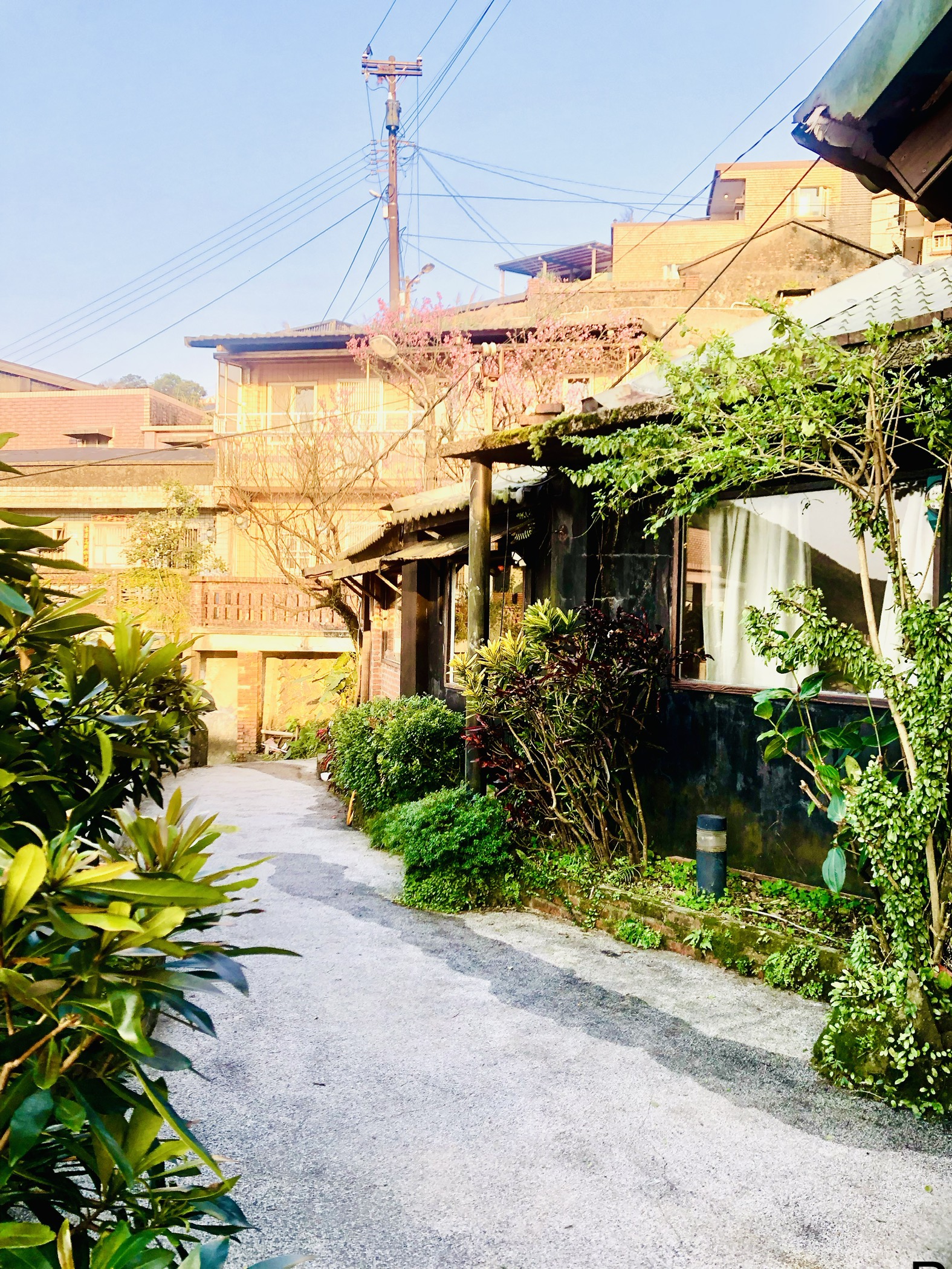九居民宿14