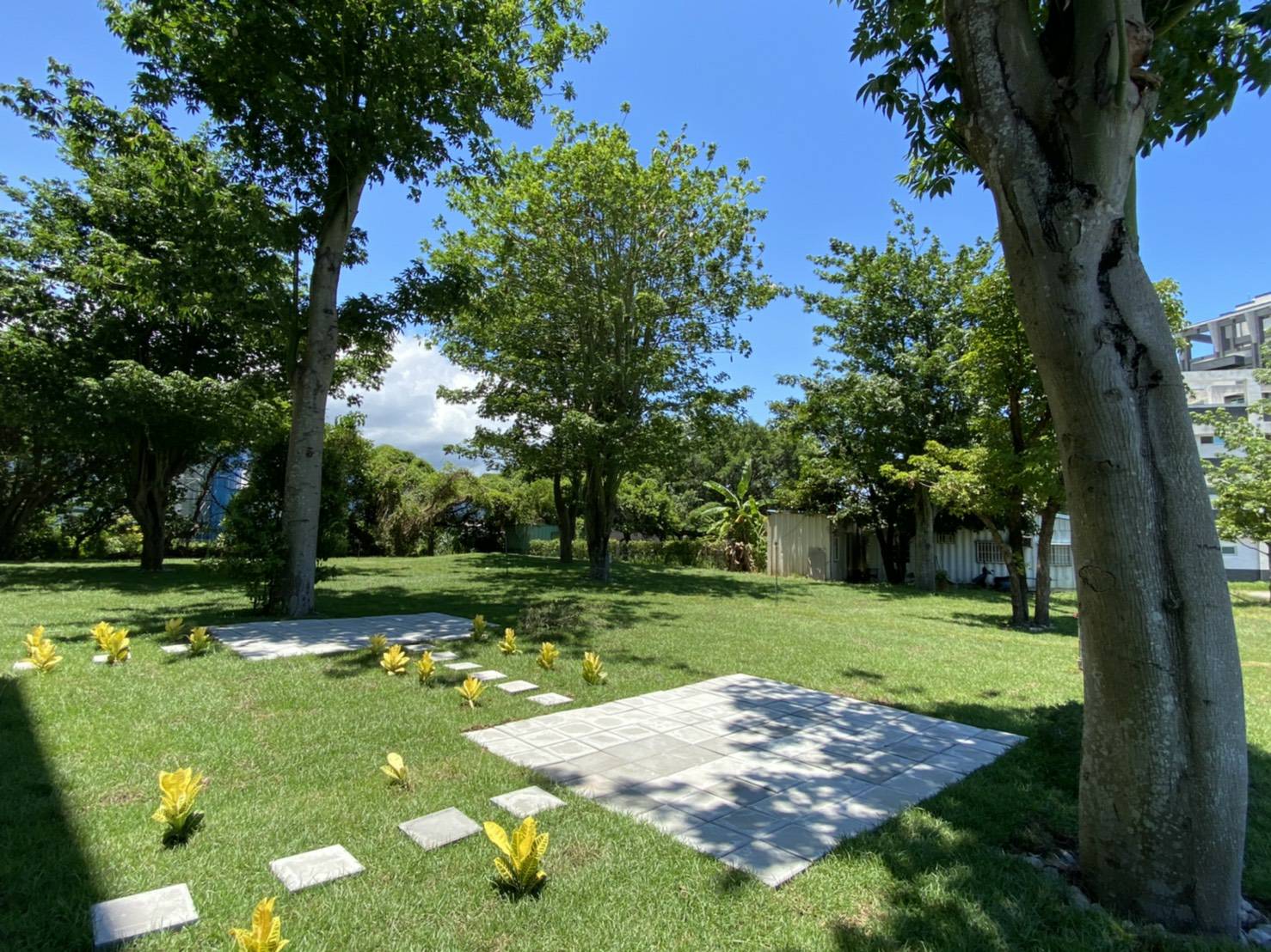 山之小羊民宿-2