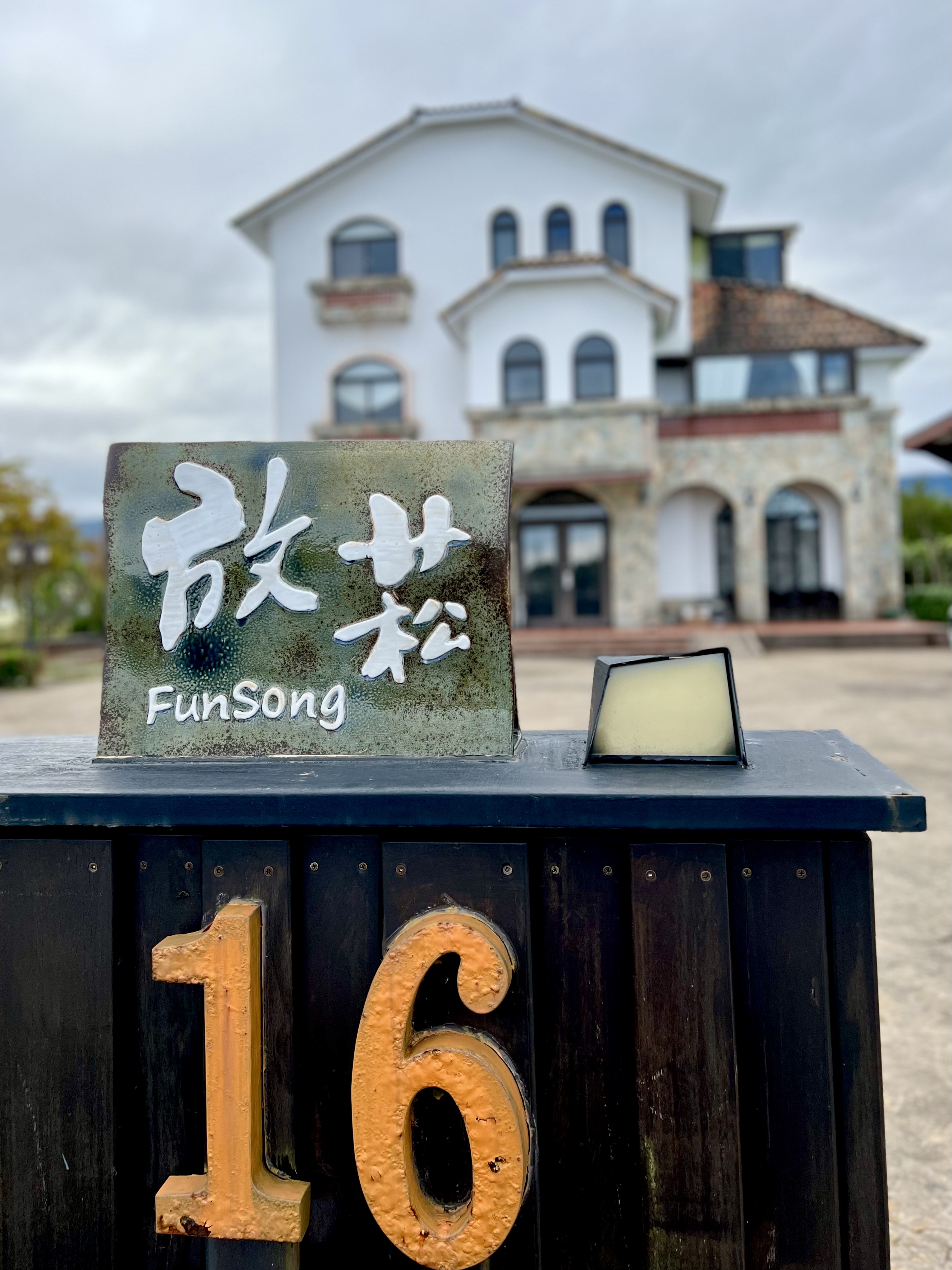 放菘-2