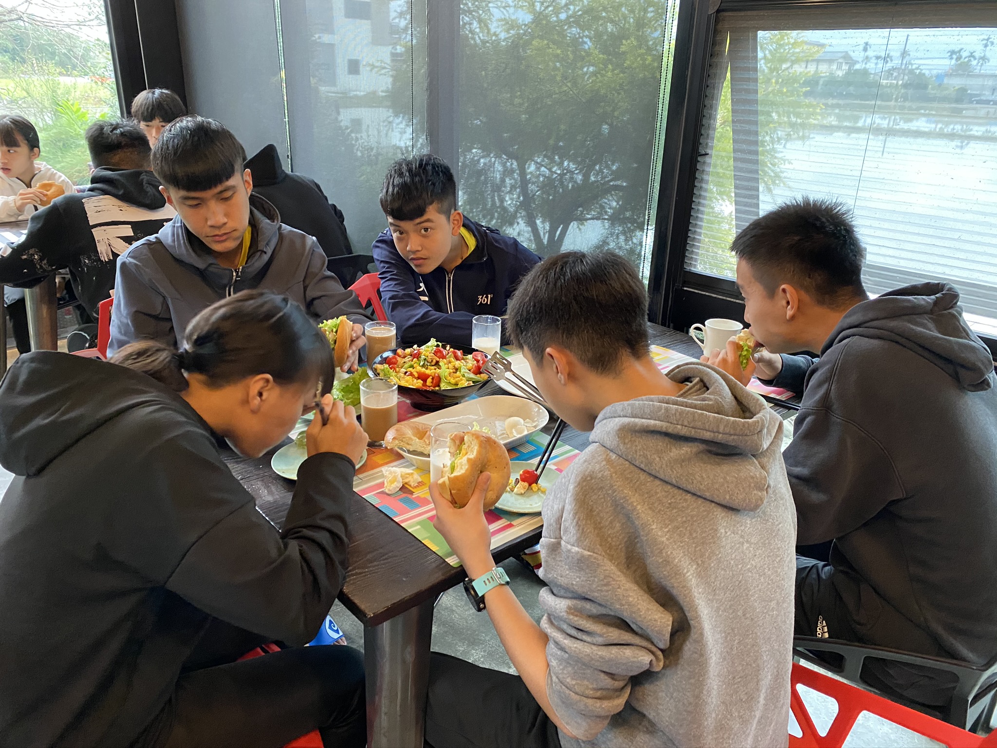 放菘-13