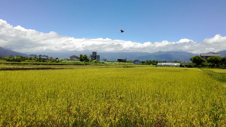 柯林小屋-2