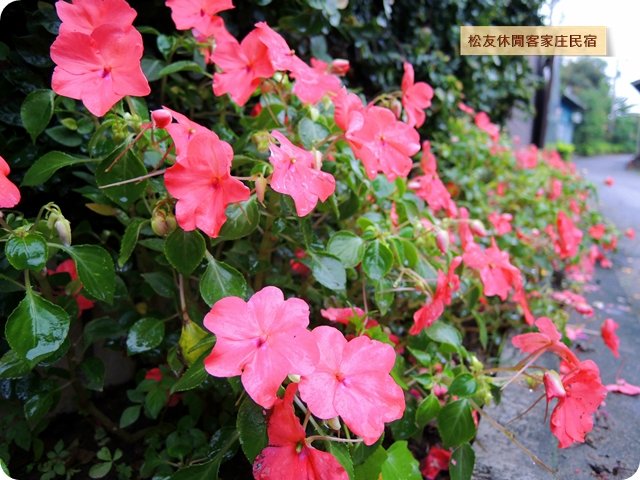 松友休閒客家庄民宿-2