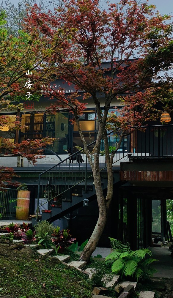 山房子-3