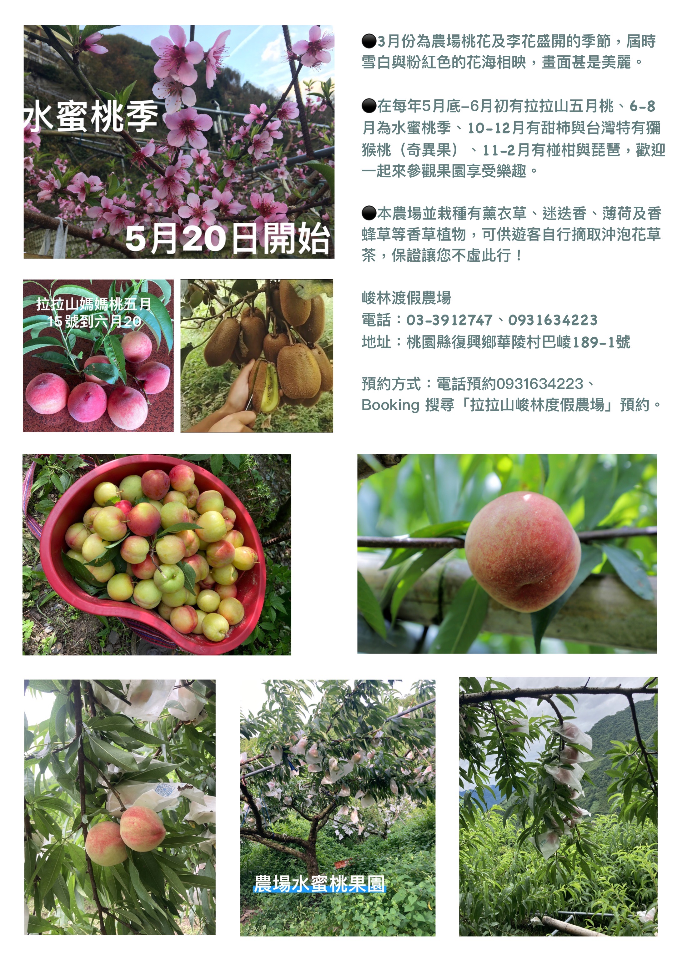 峻林渡假農場-6